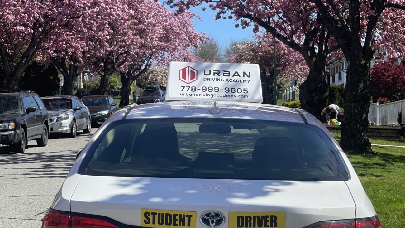 Urban car spring